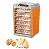 Egg Incubator, Fully Automatic Poultry Hatcher,Poultry Hatcher Digital Led Display Temperature Control Easy to Observe, for Home Science Lab Farm 384eggs