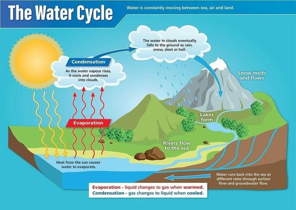 Earth Science Poster - The Water Cycle & Hydrologic System Chart, Detailed STEM Diagram for Classroom, Science Lab & Study Room Wall Decor(Framed,08x12inch(20x30cm))