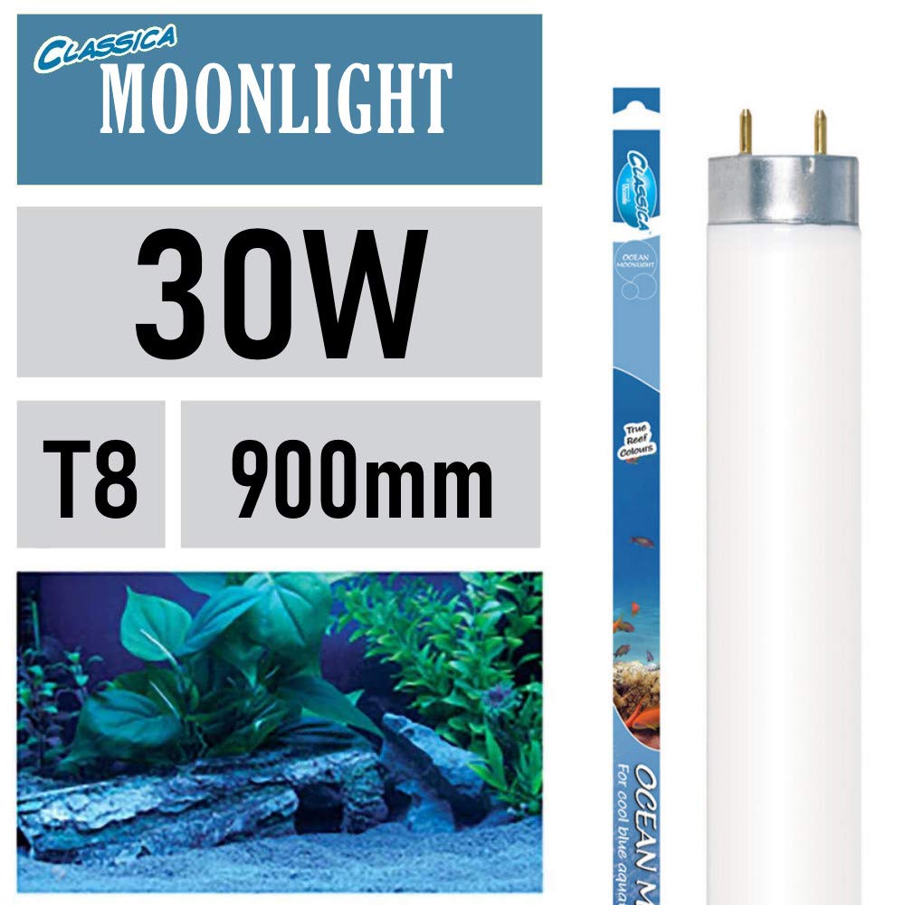 Arcadia Classica Ocean Moonlight Fluorescent Aquarium Tube - 900Mm | 30W | Fz30 | T8