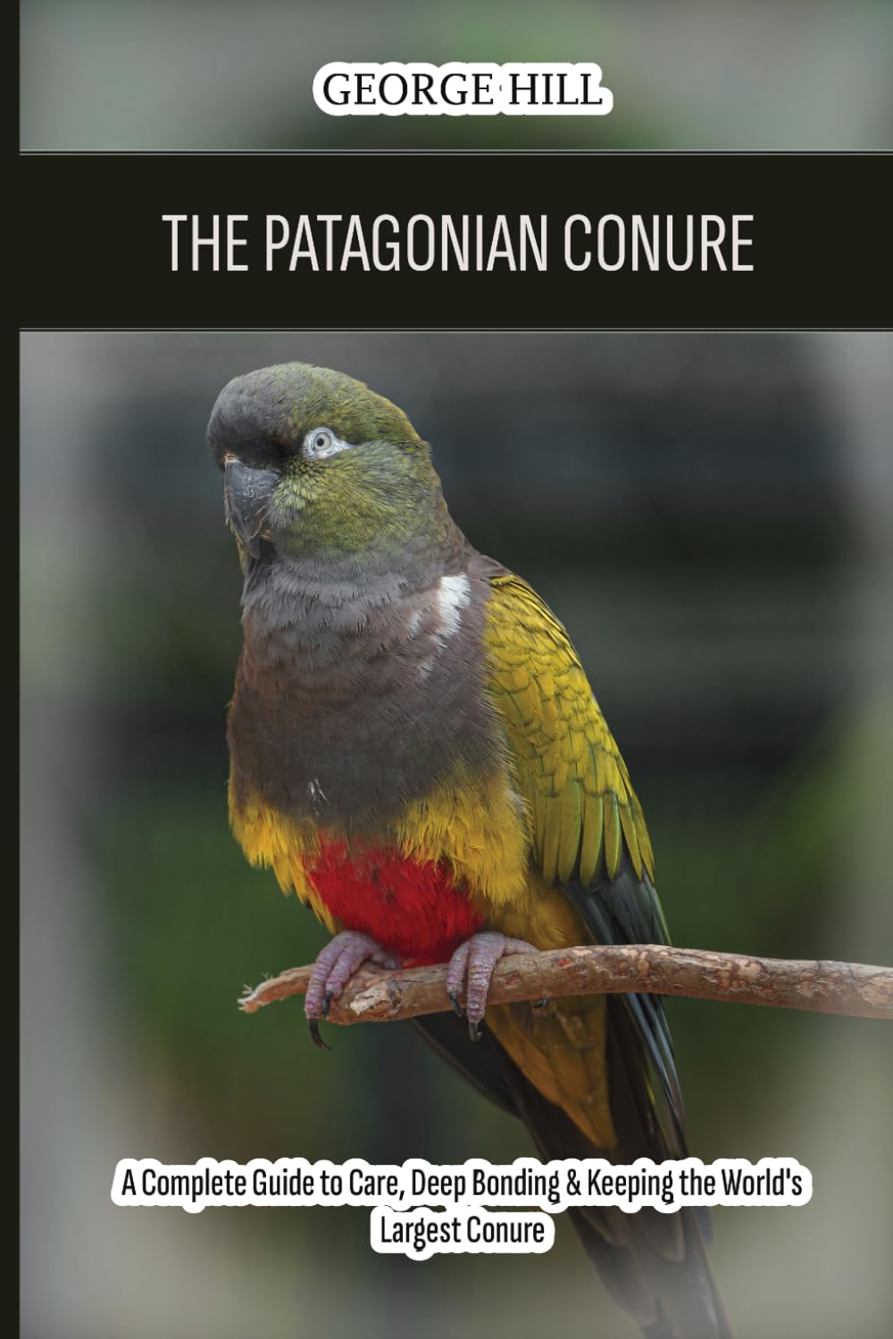 The Patagonian Conure (Burrowing Parrot): A Complete Guide to Care, Deep Bonding & Keeping the World's Largest Conure