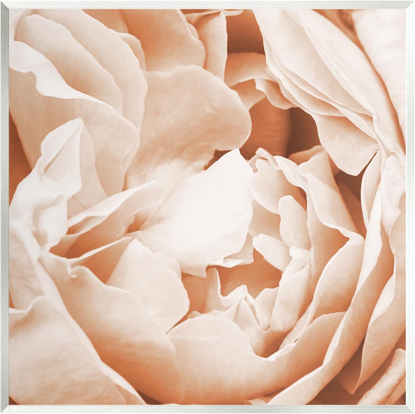 Stupell Industries Pastel Pink Peony Petals Wall Plaque Art by LSR Design Studio