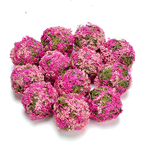 Byher Natural Preserved Moss Hanging Ball Vase Bowl Filler For Garden, Wedding, Party Decoration (3.5"(6 Pack), Pink) #TOP3