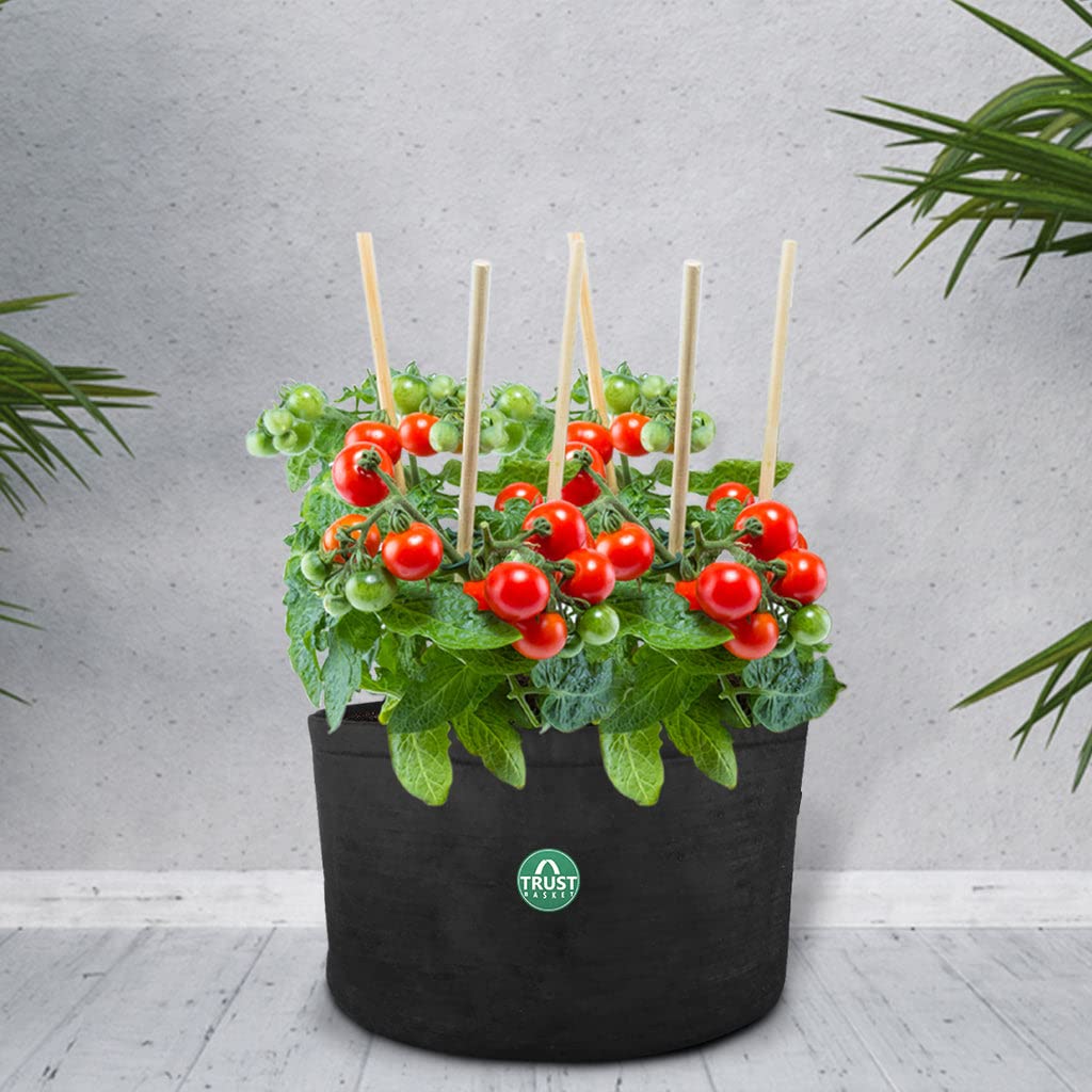TrustBasket Eaton Round Textile Felt Fabric Grow Bags for Vegetable Balcony & Terrace Gardening | Breathable, Washable & Reusable Grow Bags (Pack of 4) (B09VGGHPMP) Amazon Price History, Amazon Price Tracker