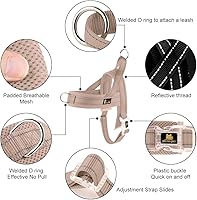 Vista 2 de Plutus Pet No Pull Dog Harness with Breathable Mesh Padded, Adjustable Reflective Escape Proof Dog Harness, Quick Fit Dog Vest Harness for Small