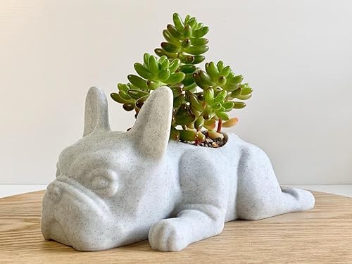 Miniatura 2 de Doggy Planter  French Bulldog Planter Gift Idea, Bar Decor, Table Decor, Plant Gift Idea, Cute Succulent Planter, any caninedogFrench bulldog and