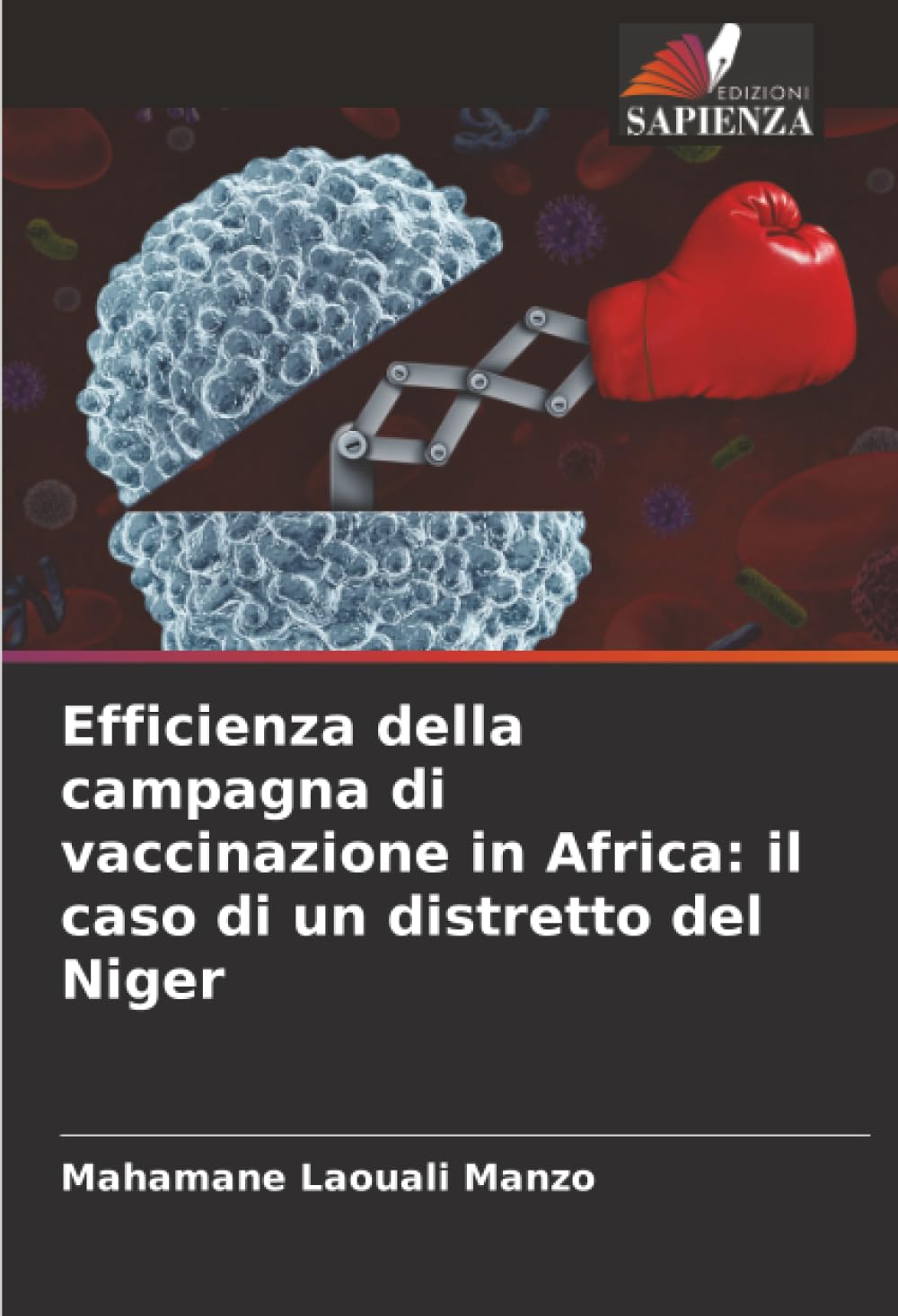 Efficienza della campagna di vaccinazione in Africa: il caso di un distretto del Niger