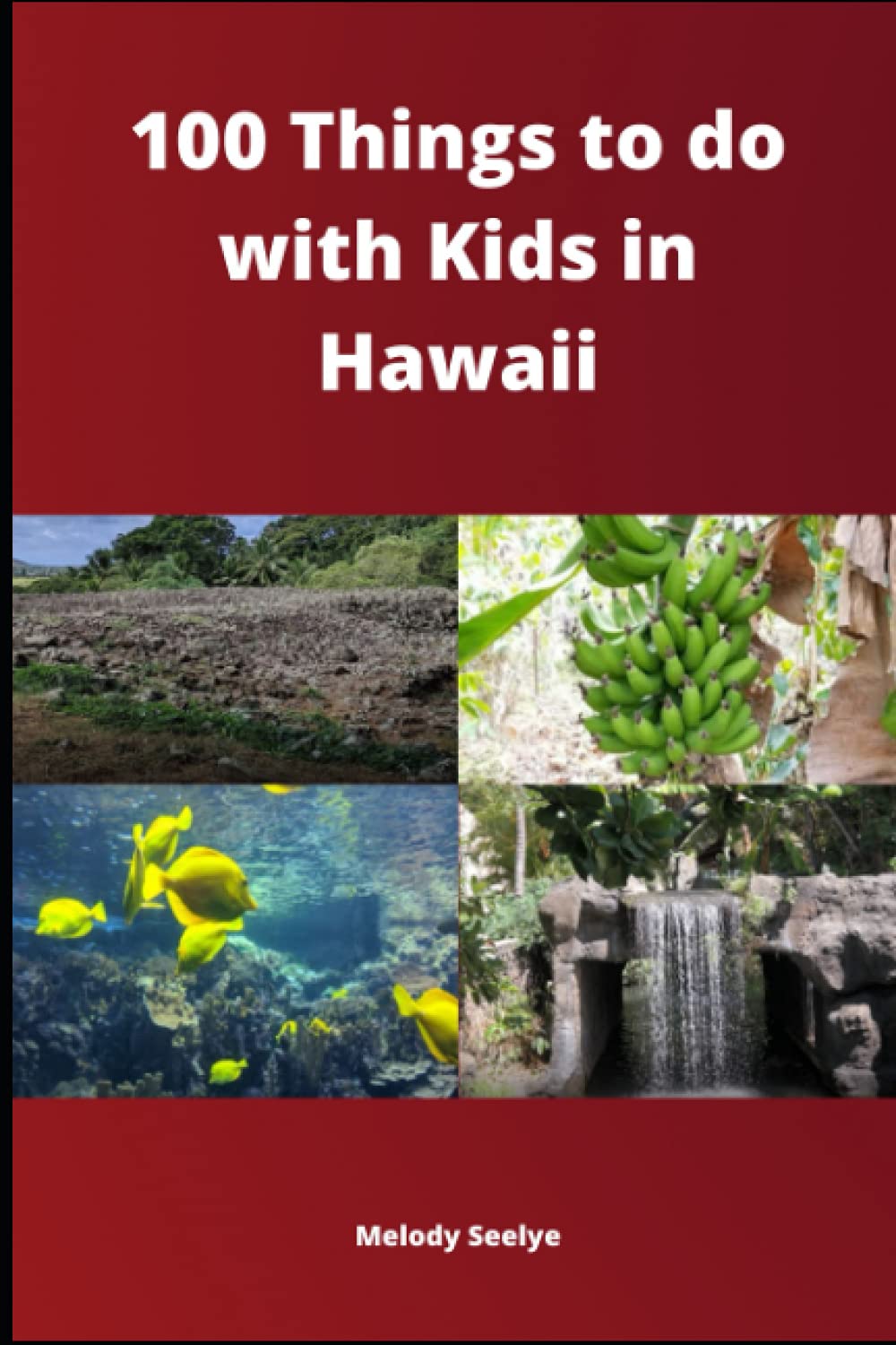 100 Things to do with Kids in Hawaii