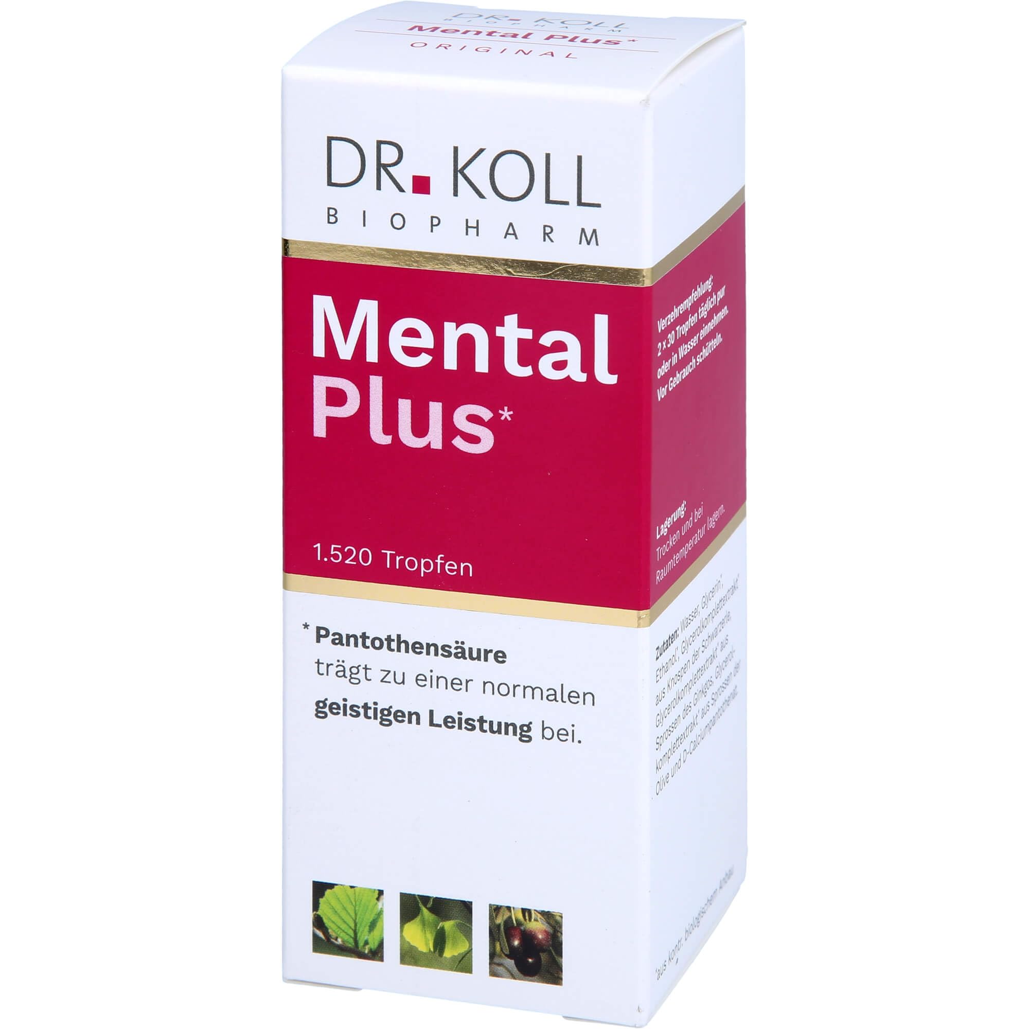 Dr. Koll Mental Plus Tropfen tragen zu einer normalen geistigen Leistung bei, 50 ml Tropfen