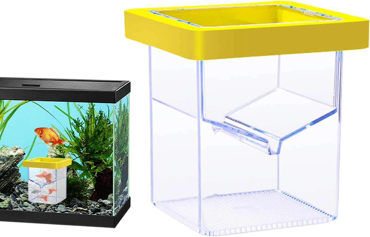Fish Incubator - Floating Suction Cup Breeding Container, Aquarium Isolation Acclimatator for Fry, , Shrimp Eggs | Clear Incubator for Quarantine