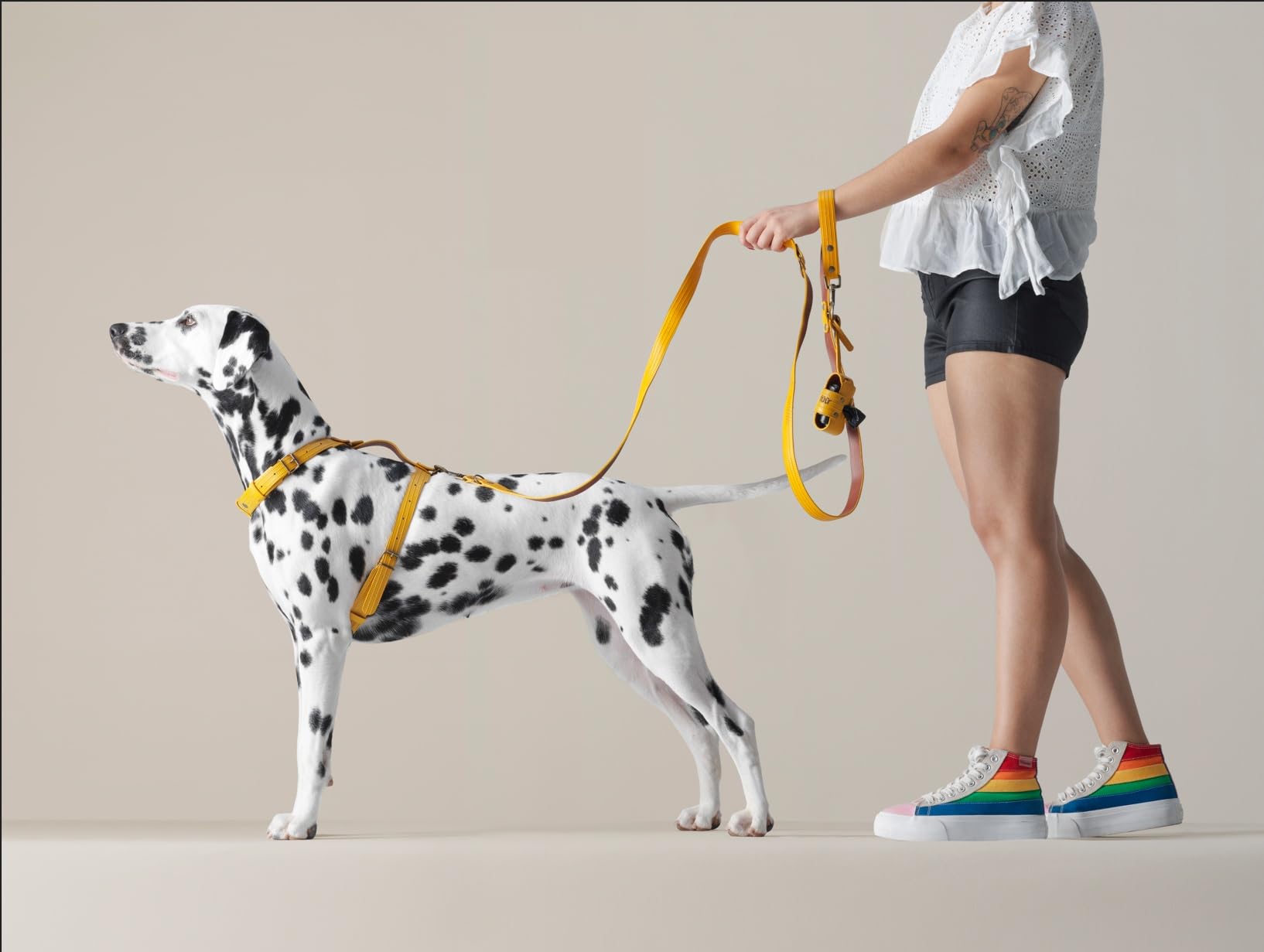 Correa para Perros Speer Grande | Diseño Suizo Hecho a Mano en España | Mangueras de Bomberos Recuperadas de Suiza, España y Francia | Correa Cómoda y Resistente