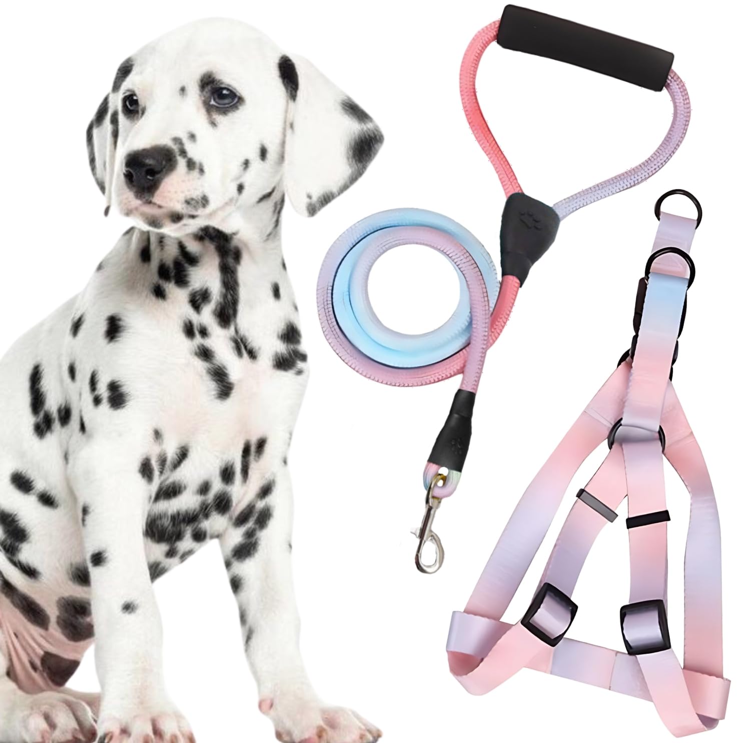 Sage Square Dog Rainbow Harness & Leash, Comfortable and Stylish Pet Walking Accessories for Dogs, Vibrant Coloured harness, Easy-to-use leash, Stylish leash, Pet safety, Reliable pet control products
