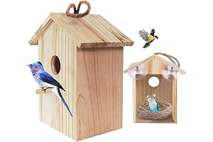 Window Nest Box with Strong Suction Cups and Lanyards for Outdoor Use See-Through Design