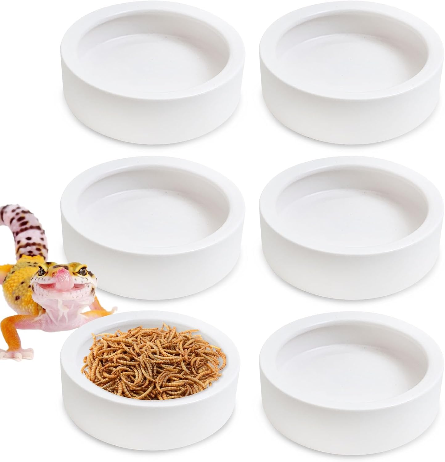 Tfwadmx 6 Pack Reptile Food Bowl, Mini Ceramic Water Feeder Bowl, Reptile Worm Feeding Dish for Lizard Turtle Bearded Dragon Anoles Crested Gecko Hermit Crab Leopard Gecko Chameleon Corn Snake