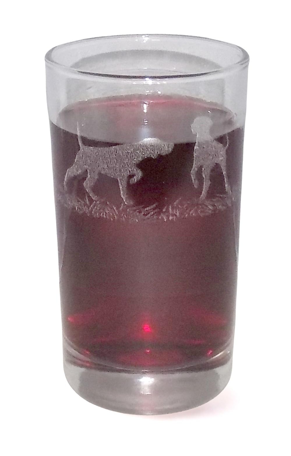 English Setter Engraved Highball Tumbler — image 1