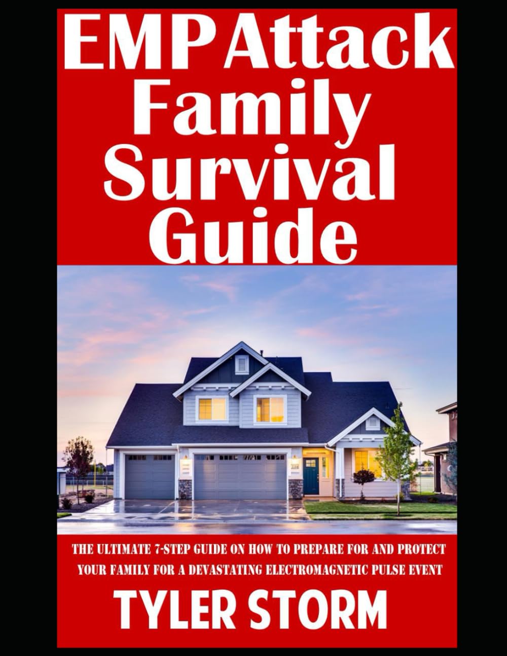 EMP Attack Family Survival Guide: 3 (The Simple Survivalist)