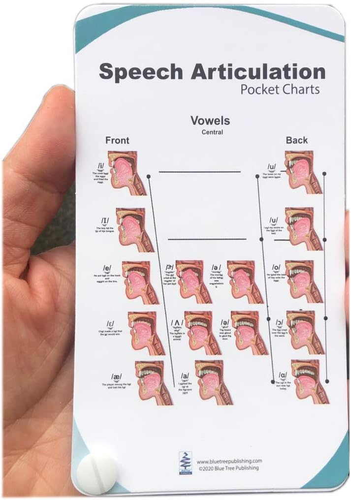 Buy Speech articulation Anatomy Pocket Charts at Ubuy Kuwait