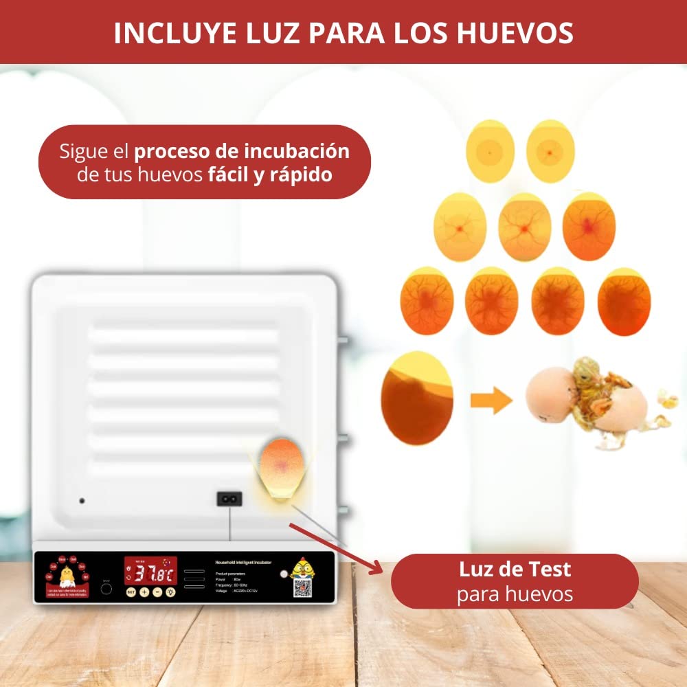 Arcanix Incubadora de Huevos Automática 30 Huevos Gallina 75 Codorniz - Incubadoras con Volteo Automatico Control de Temperatura y Humedad, Termómetro Higrómetro Chocadeira Ovos Automatica