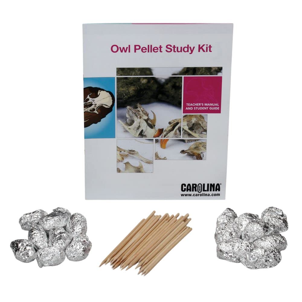 Owl Pellet Study Classroom Kit