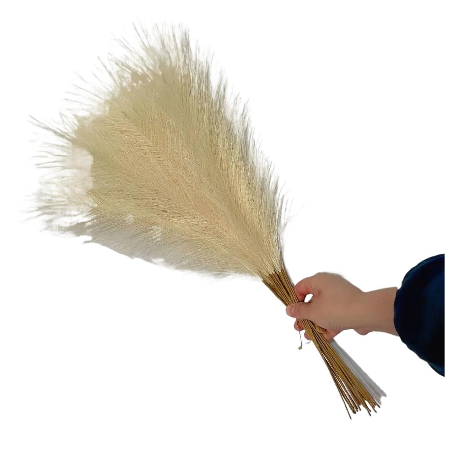 Faux Pampas 10PCS Home Decor Fluffy Pampas Grass 55CM DIY Flower Fake Plant Reed Festival for Decor