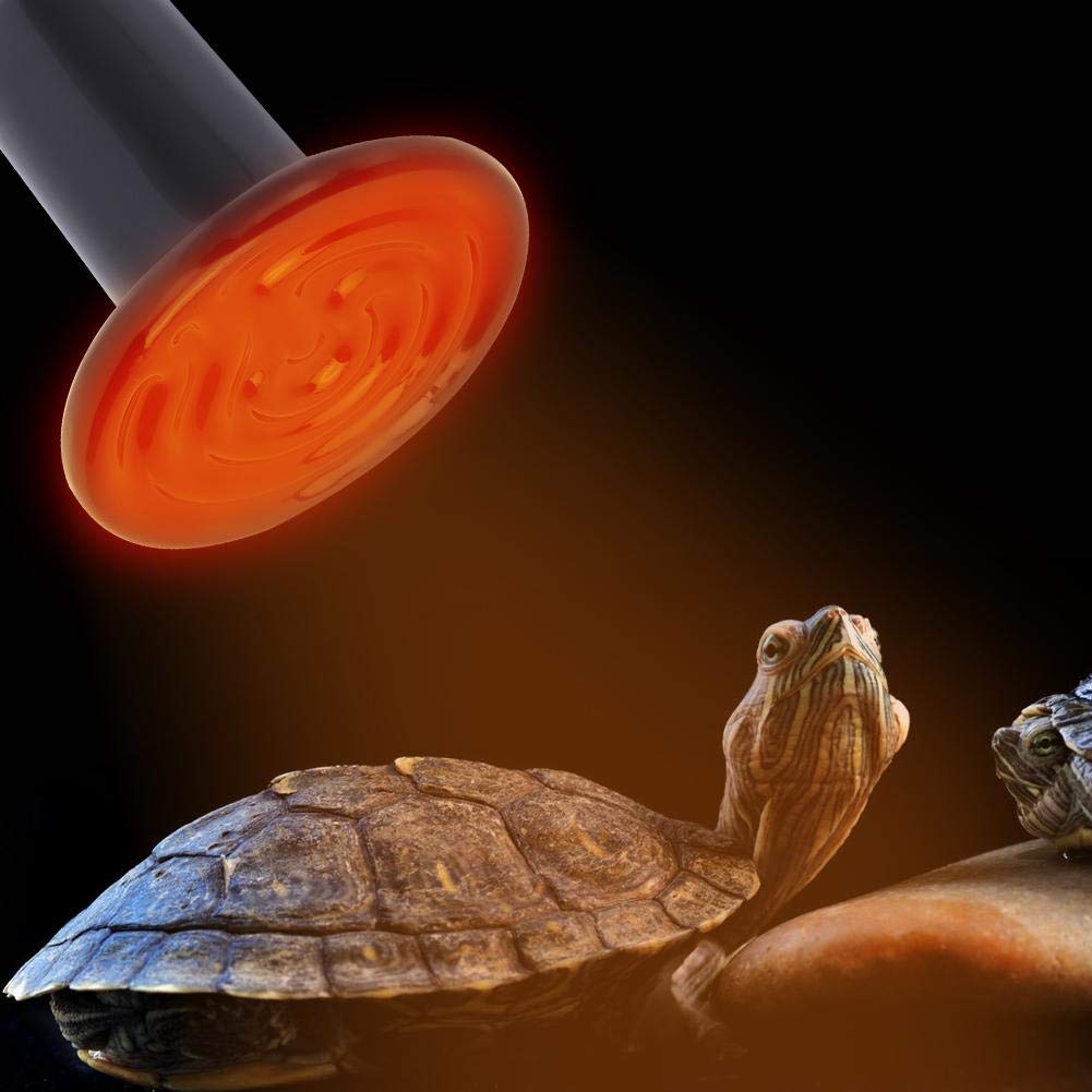 Fdit Ceramic Heating Lamp, E27 Infrared Heat Lamp 100W 220V-240V for Reptile Pet Enclosure No Light Emitting Animal Heat Bulb (1#) - image 2