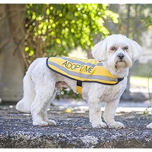   Limited-Adopt-ME-Yellow-Warm-Dog-Coats-S-M-M-L-L-XL-Waterproof-Reflective-Fleece-Lined-Donate-to-Your-Local-Charity-S-M-Back-12