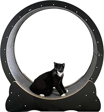 extreme Cat Wheel Workout Game Trainer for Cats,cat Exercise Wheel Treadmill with Carpeted RunwayBlack,XL