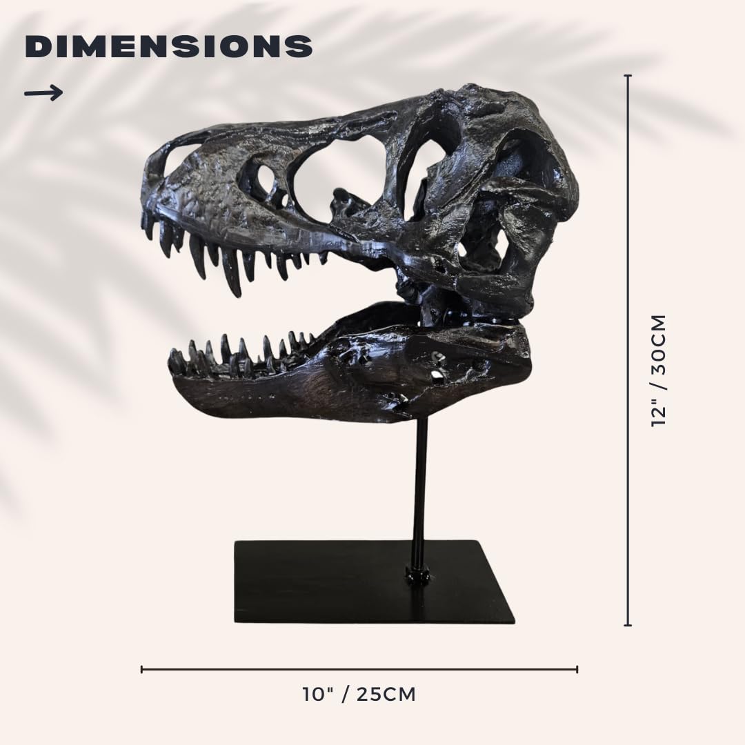 T-Rex Cráneo XXL sobre soporte de metal - Réplica - Tyrannosaurus Rex - Dinosaurio - Fósil - Decoración de lujo - 30x25 cm