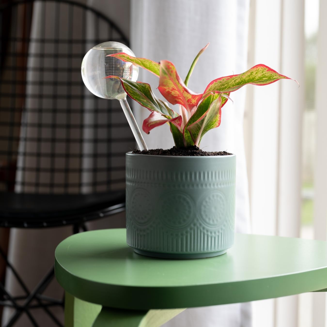 KYARI Self Watering Globe for Plants, Drip Irrigation Kit for Home Garden, Clear Watering Bulb for Indoor & Outdoor Pots - Pack of 2