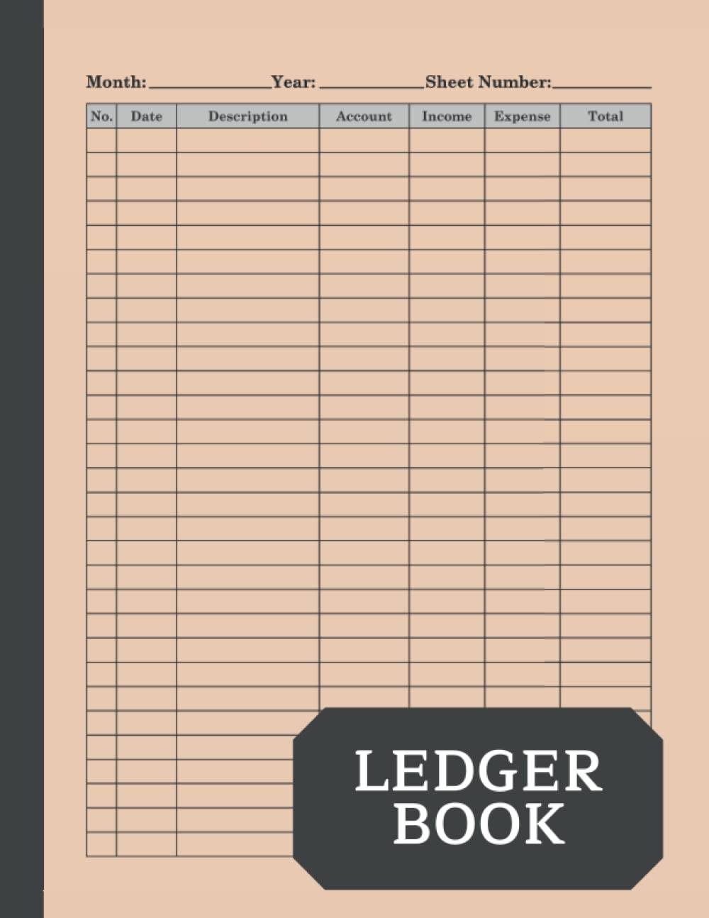 Ledger Book: Income and Expense Log For Small Business and Personal Finance