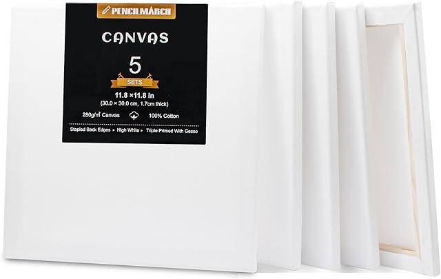 Blank Canvas for Painting 5pcs 11.8x11.8 inches Artist Canvases Frame Board Panels, 100% Cotton Acid Free Triple Primed Medium Grain Professional Artist Canvases for Watercolour Oil Acrylic Painting