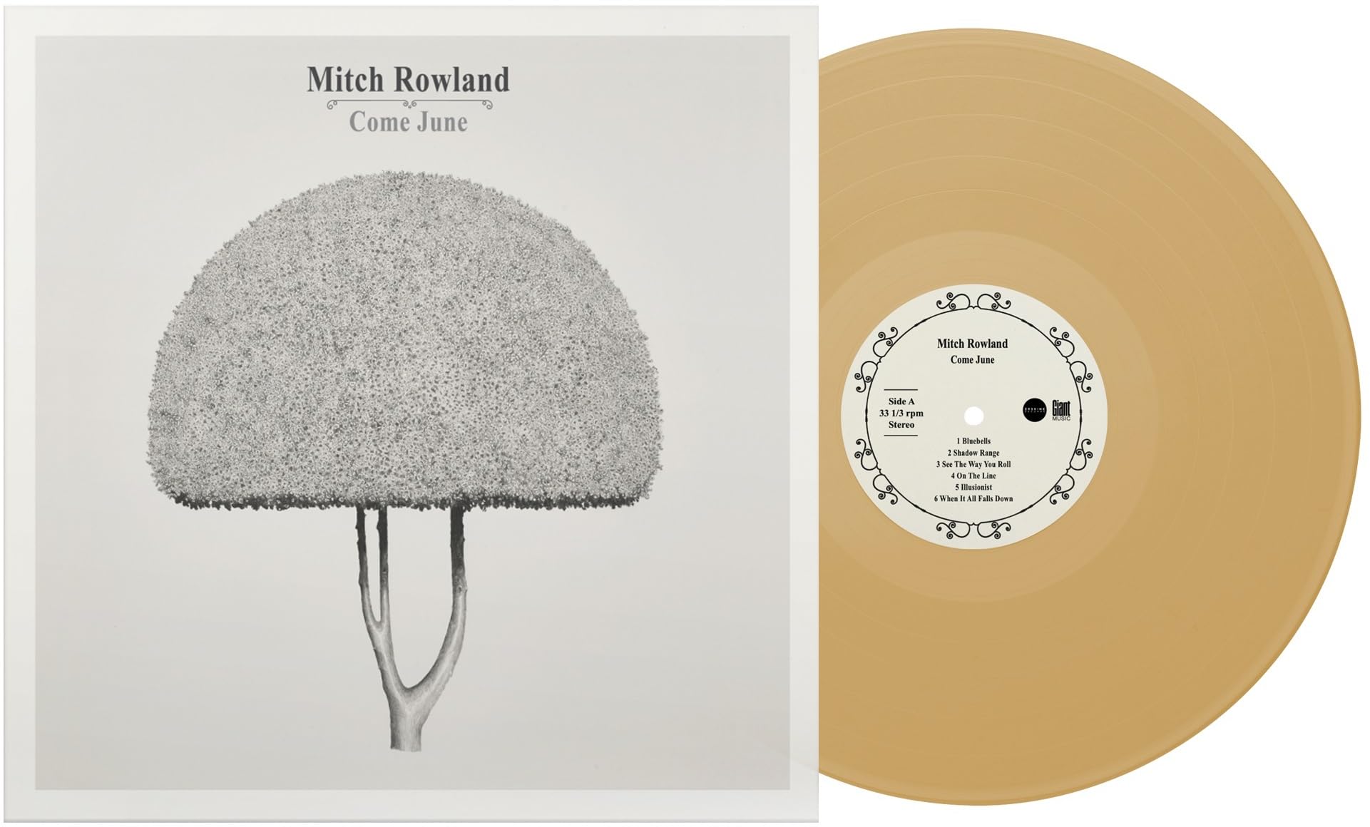 Mitch Rowland Come June LP Vin - NEW