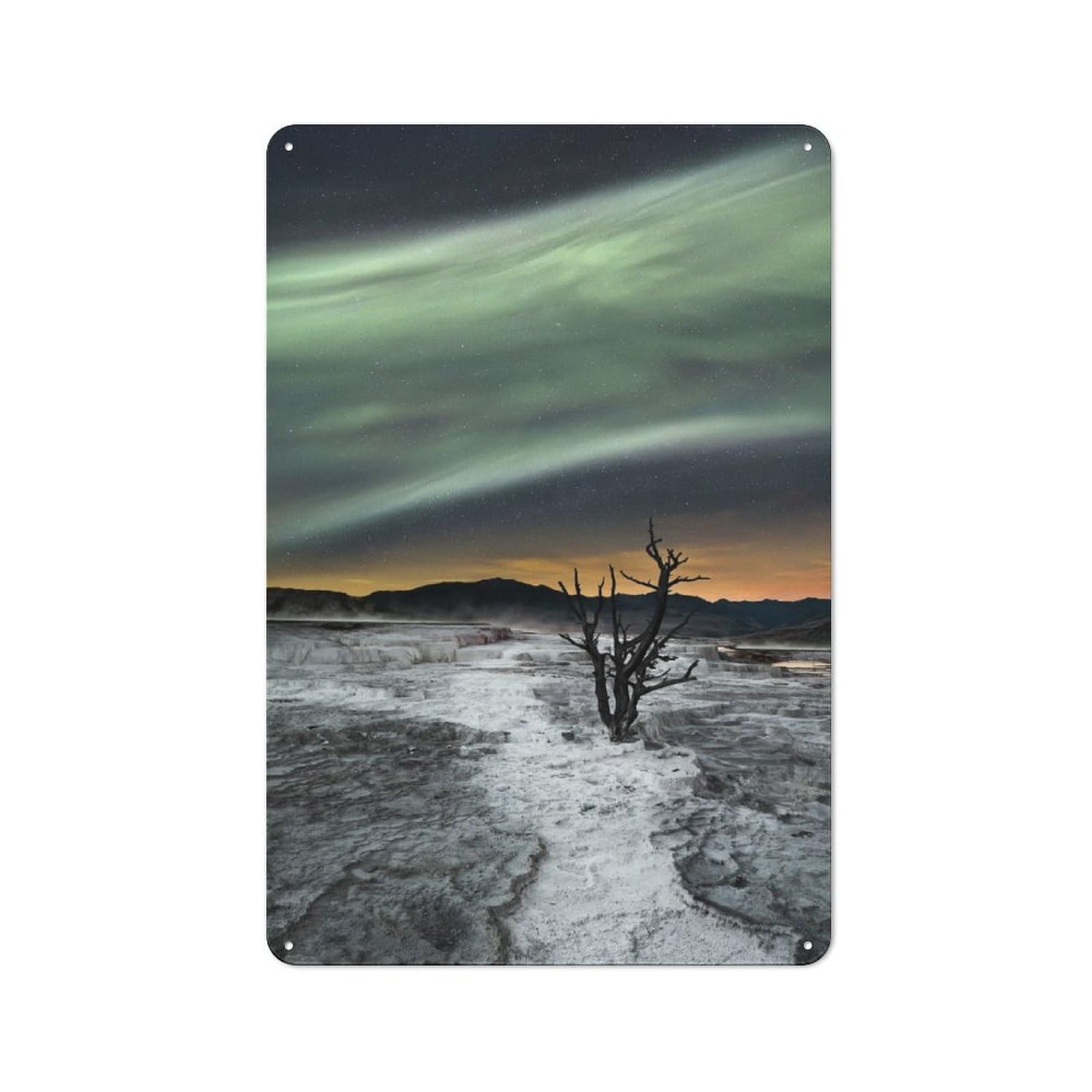 Junmoney Magic Aurora Vintage Metal Plaque 30X20cm For Man Cave Or Games Room, For An Autumn Update To Man Cave And Games Room