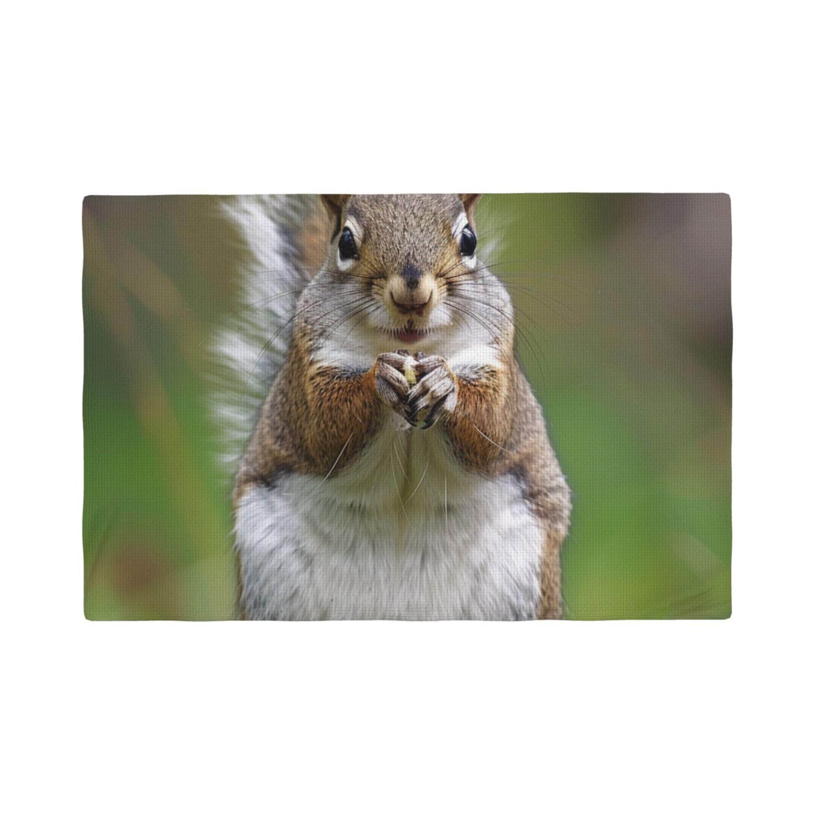 Red Squirrel Print Placemats Set, Heat Resistant Washable Placemat 12x18in Table Mats for Party Kitchen Dining Table Decoration Indoor Outdoor, Four Pieces