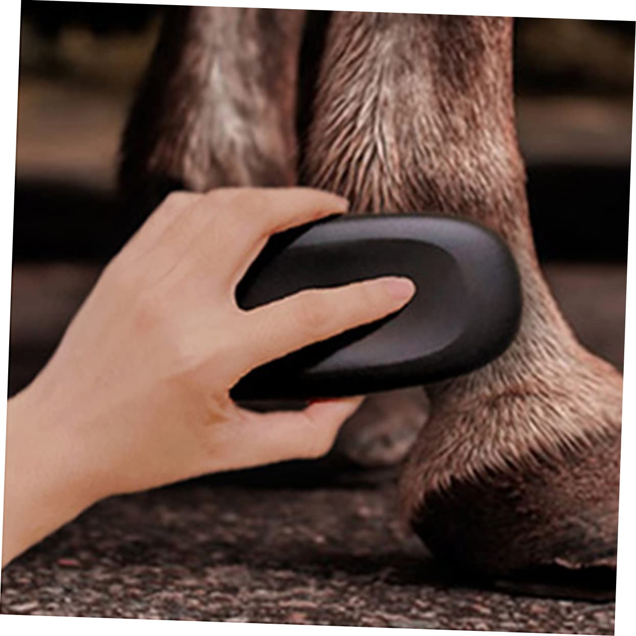 SUPVOX 4 Cepillos De Limpieza Para Caballos Ecuestres Cepillo Para El Pelo De Caballo Cepillo Para La Limpieza De Ganado Cepillo Para El Pelo De Caballo Herramienta Para Quitar El