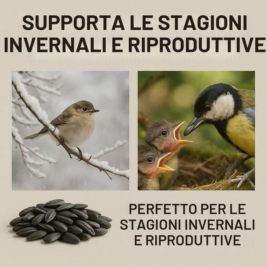 GiDeli Semi di girasole nero, 25 kg, in mangime per uccelli selvatici, per tutto l'anno