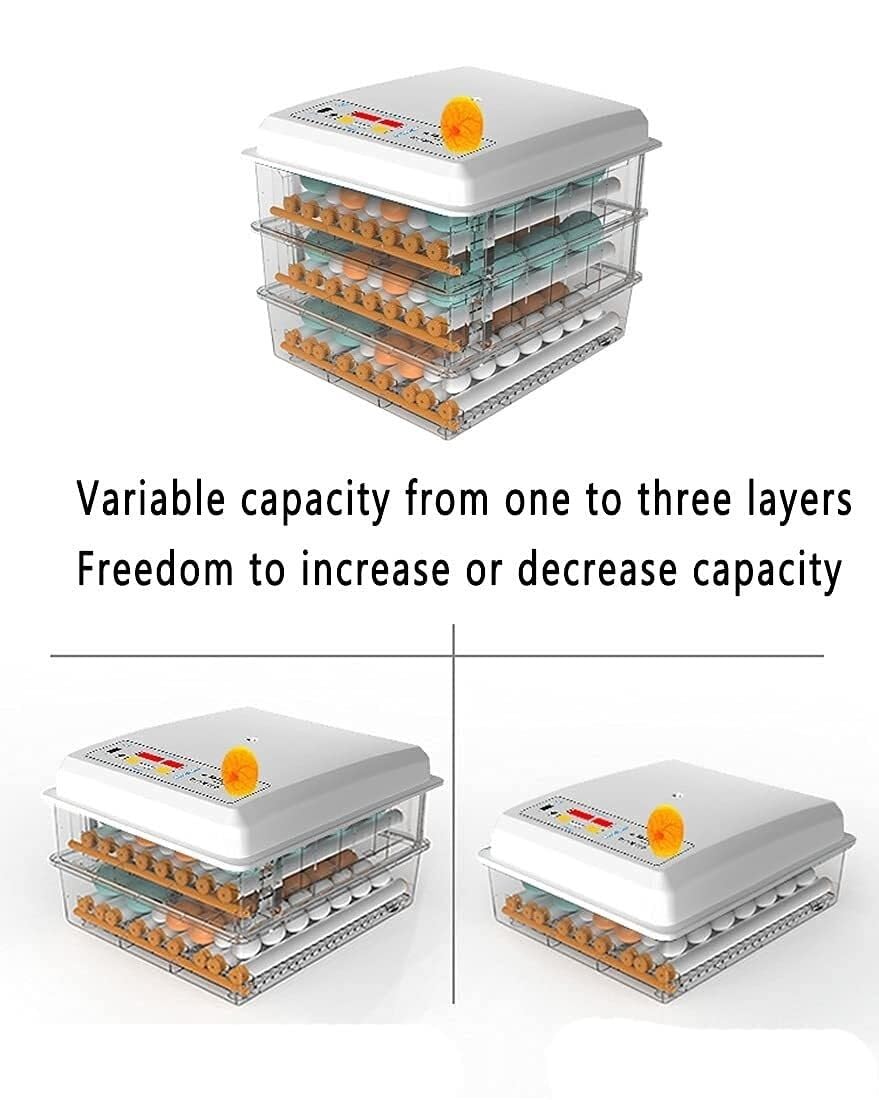 Digital Incubator with Temperature Control, Automatic Incubator for Hatching Turkeys, Geese, Quail, Eggs