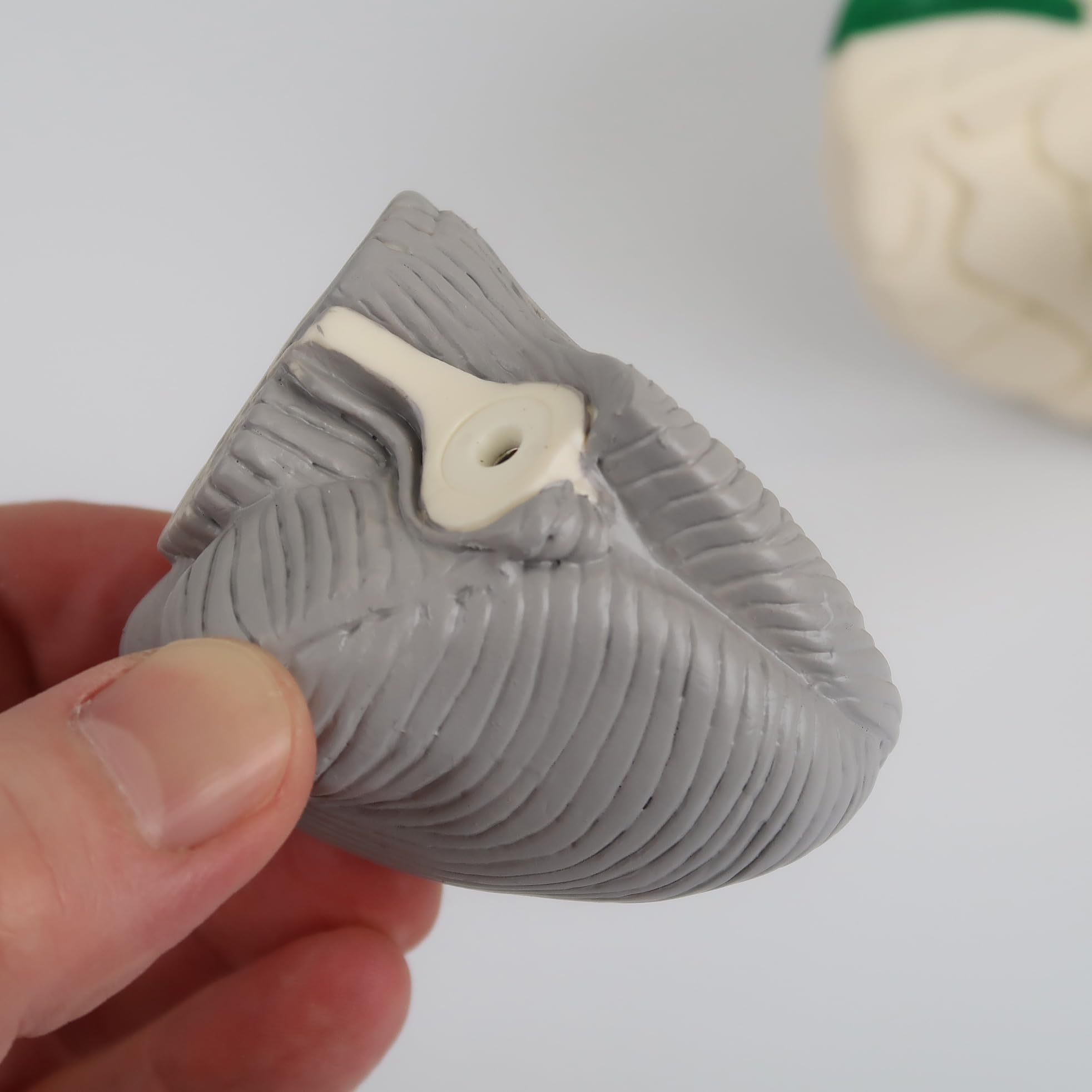 3B Scientific C22 Cerebro Neuro, Anatómico, desmontable En 8 Piezas - 3B Smart Anatomy