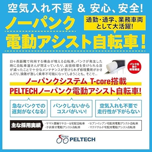 PELTECH(ペルテック) ノーパンク 折りたたみ 電動アシスト自転車 20インチ TDN-206LN の商品画像 1