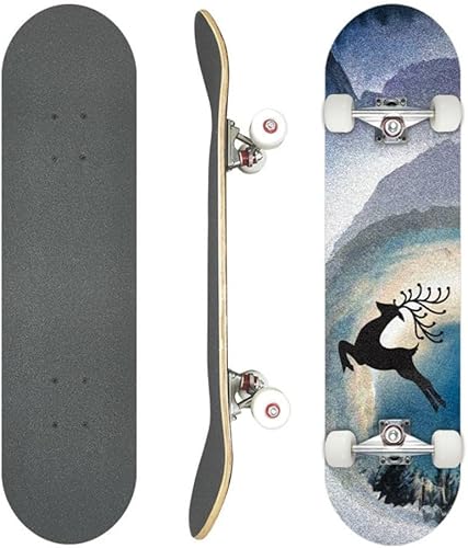 QeMiyg XP[g{[h Rv[g XP{[ 31C` [vEbh _uLbN ʃfbL 4 i S l LbY w j̎q ̎q Kp 葖s ϋv a v[g (A,WsOfBA)