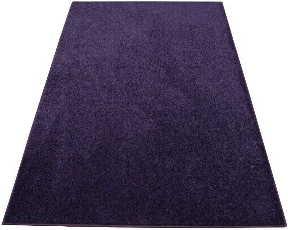 Furnish my Place Modern Plush Solid Purple Color Rug, Indoor/Outdoor Mat, Area Rugs Great for Kids, Pets, Event, Living Room, Made in USA, 1.5' x 2.25' Oval - Set of 20