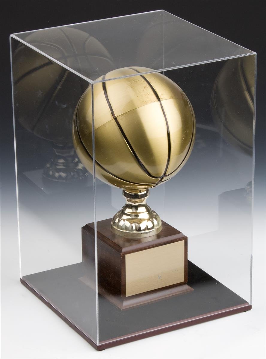 Clear Acrylic Collectible Display, 11-1/4