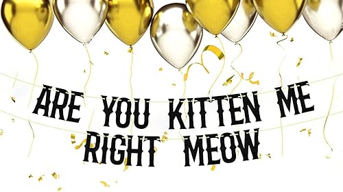 Miniatura 5 de Cartel de "Are You Kitten Me Right Meow, pancarta de gatito, decoración de fiesta de gato, pancarta de maullido, decoración de fiesta de primer