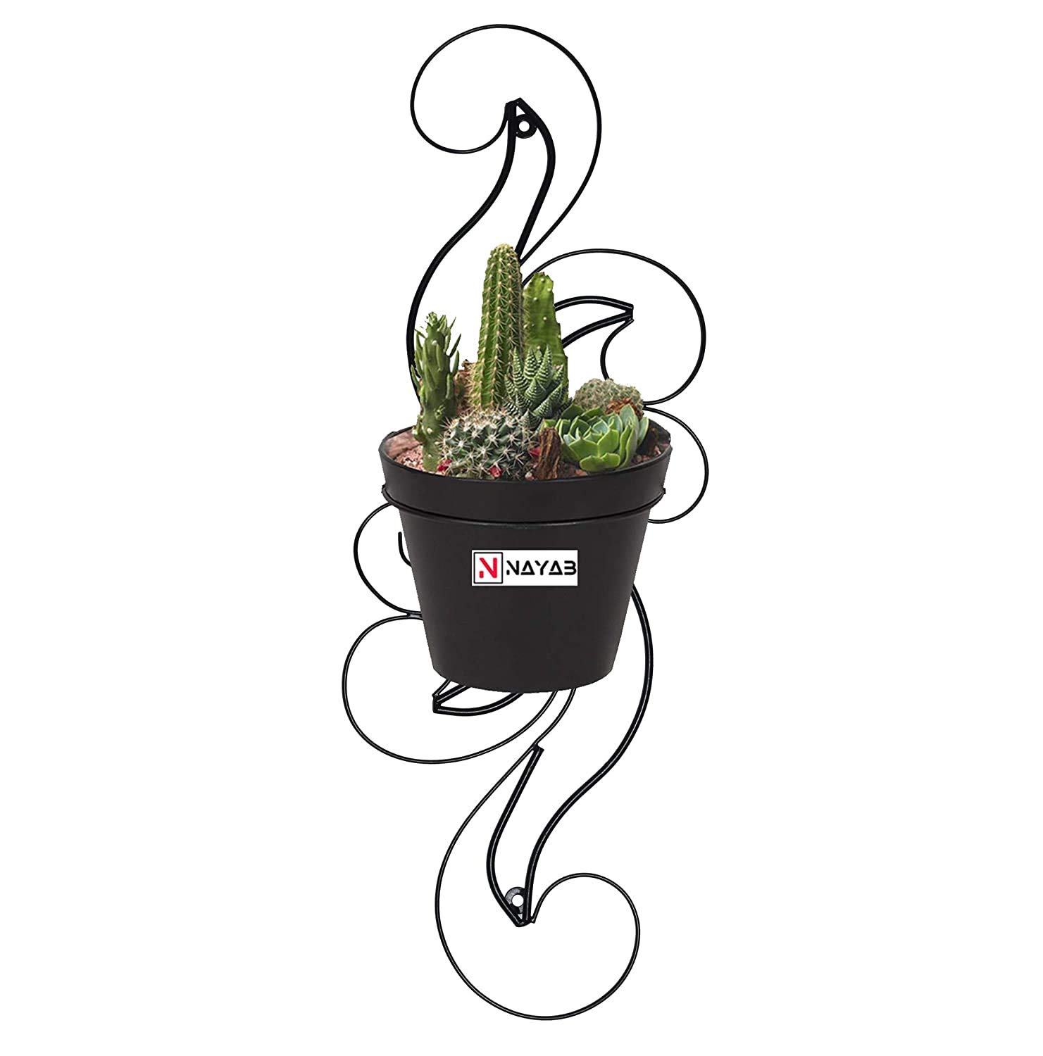See full amazon price history chart for NAYAB� Scroll 60cm Long Wall Mounted Iron Plant Holder Hanger Stand Rack Without Pot Planters for Hanging Balcony, Garden, Indoor Outdoor Decor Corner Shelf NAYAB� Scroll 60cm Long Wall Mounted Iron Plant Holder Hanger Stand Rack Without Pot Planters for Hanging Balcony, Garden, Indoor Outdoor Decor Corner Shelf (B084GTDGNC) Amazon Price History, Amazon Price Tracker