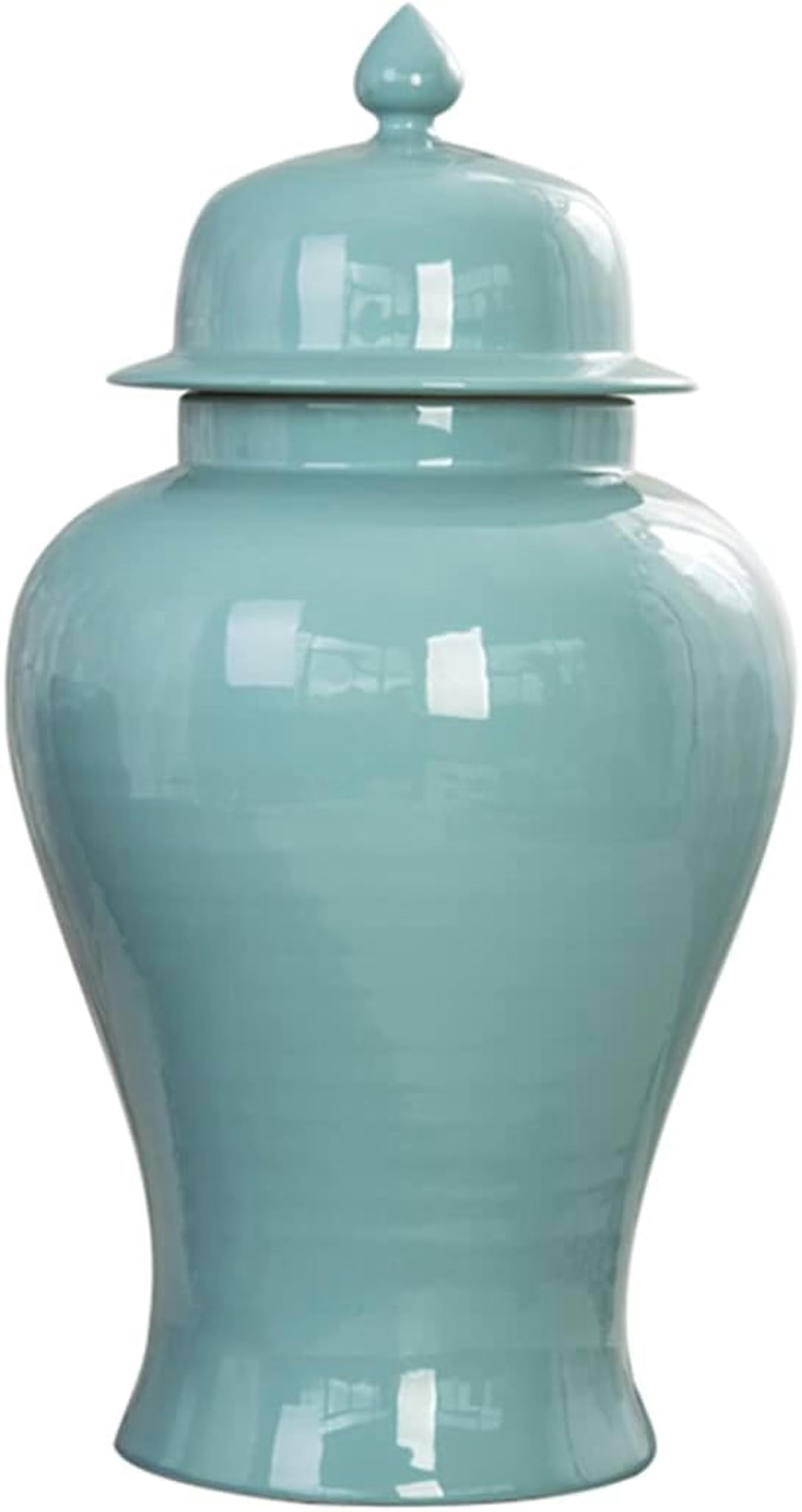 Vase pot de gingembre en céramique pour décorer une étagère de salon moderne et élégante