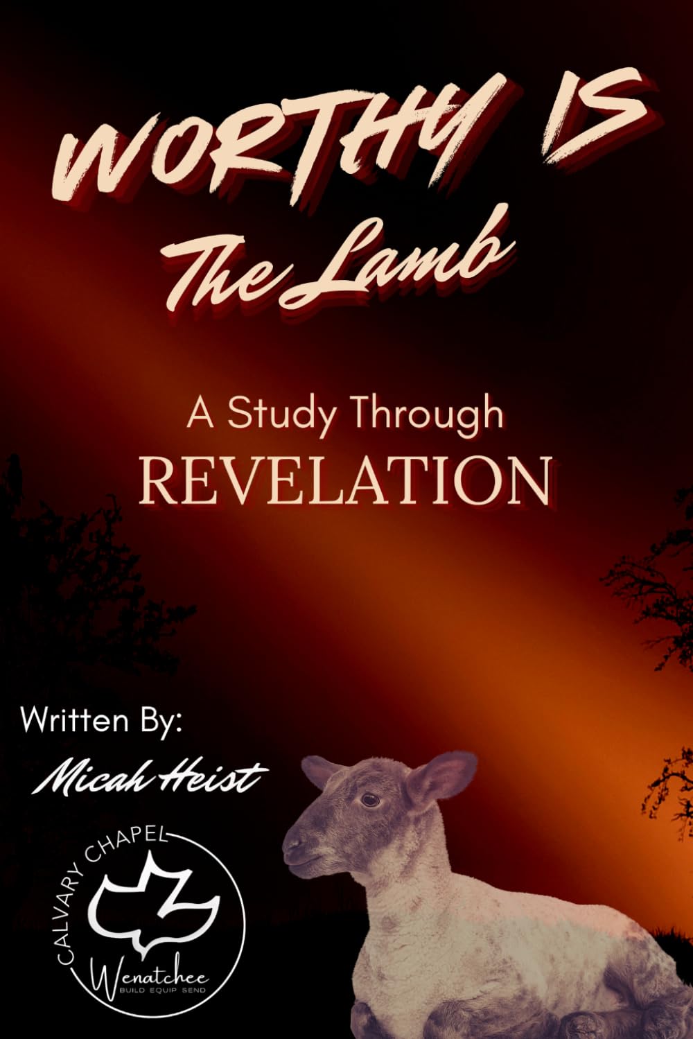 Worthy Is The Lamb: A Study through the book of Revelation (Through the Bible)