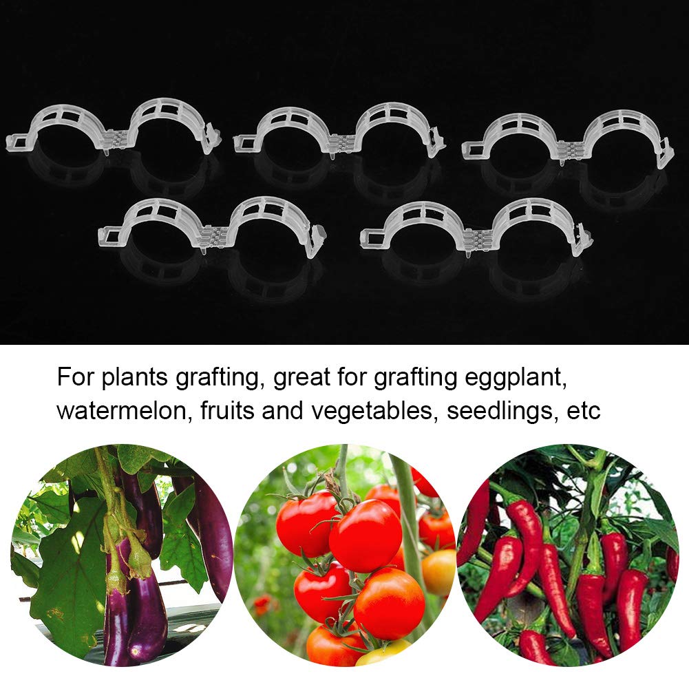 100 Pinces De Greffage VOBOR - Mini Clips Pour Plantes, Tomates, Orchidées - Jardinage
