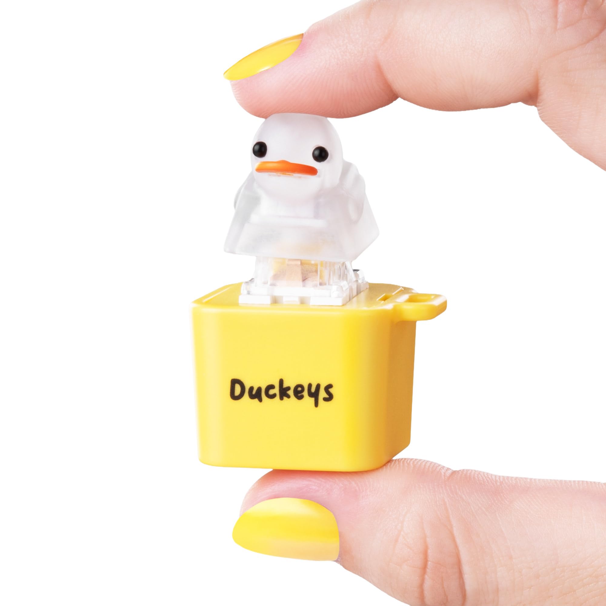 Fidget Toy - Quacking Sound Stress Relief Toy for Adults and Kids - Ideal for Anxiety Relief and Focus Enhancement