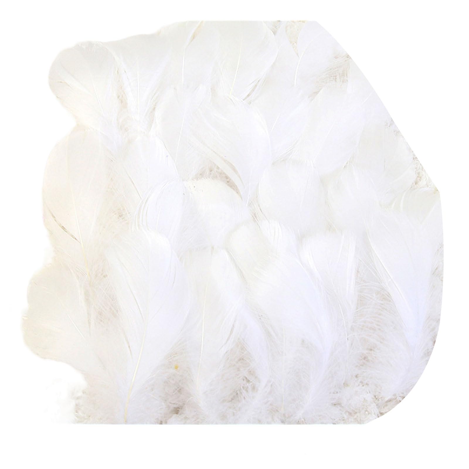 Xinyin White 100Pcs Colorful Craft Feathered Adornment For Craft Use In Dream Catchers Earrings And Festival Decorations