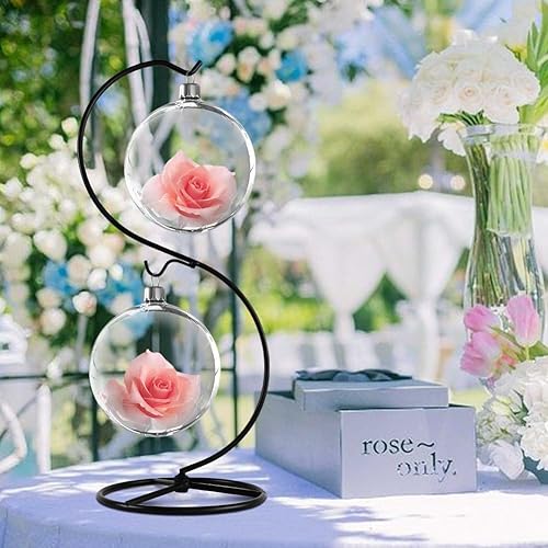 Miniatura 4 de CXLE Soporte de exhibición de adornos, soporte de adorno de hierro para colgar globo de vidrio para plantas de aire, terrario, bola de bruja, adorno