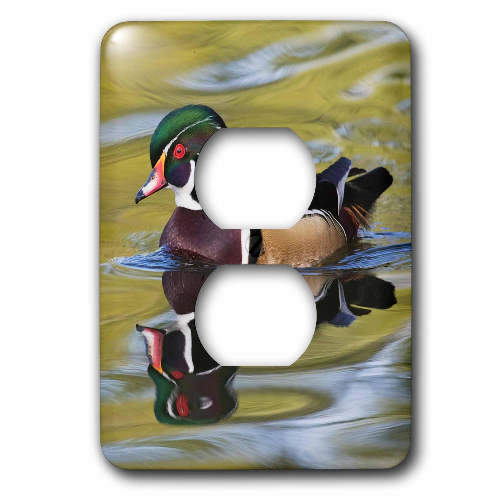 Décoration murale rustique avec le capot de prise de natation canard